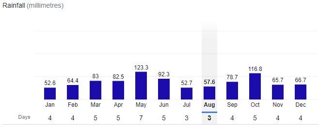 Dallas City Rainfall