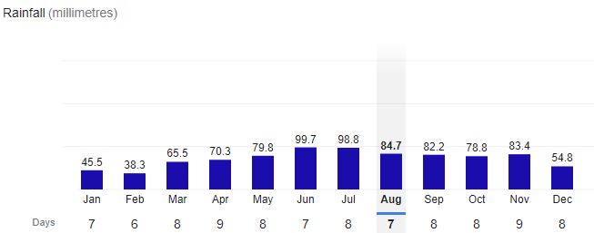 Detroit City Rainfall