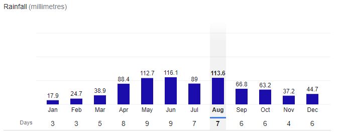 Minneapolis City Rainfall