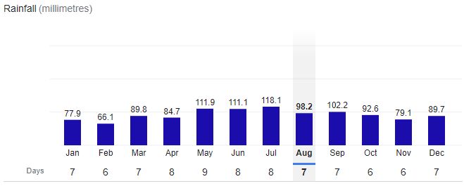 Washington City Rainfall