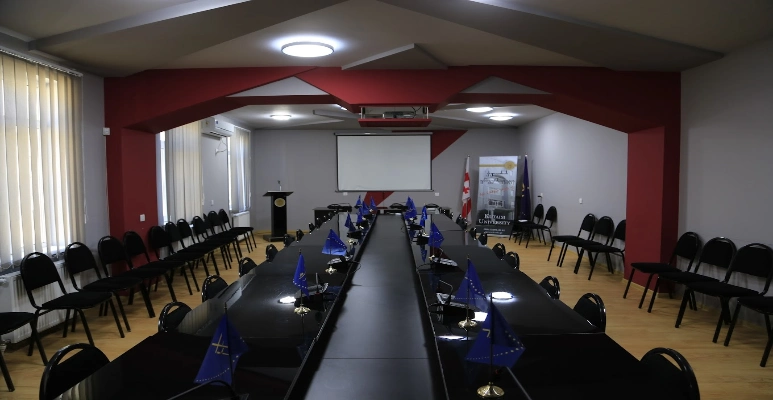 Kutaisi University Faculty of Medicine Conference Room