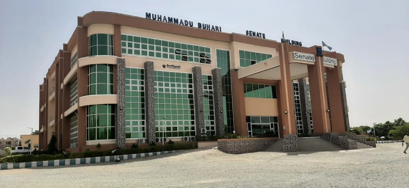 University of Maiduguri