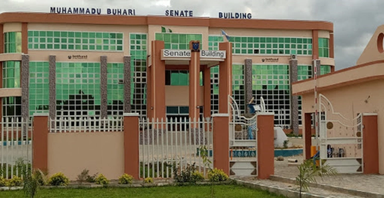 University of Maiduguri