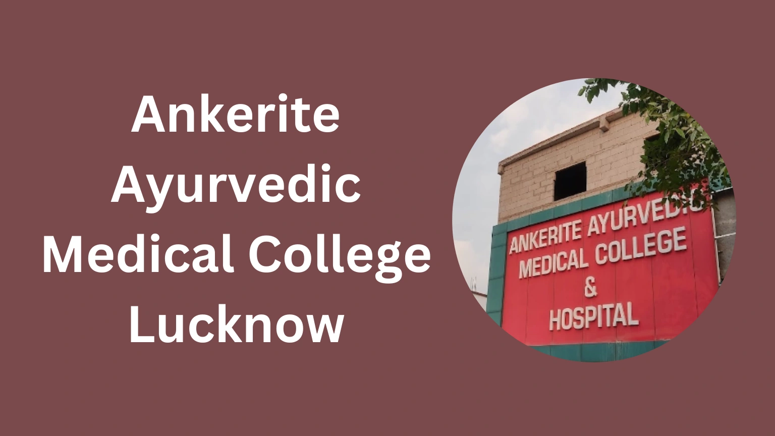 Ankerite Ayurvedic Medical College Lucknow