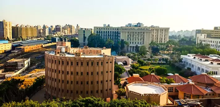 Alexandria University Faculty of Medicine