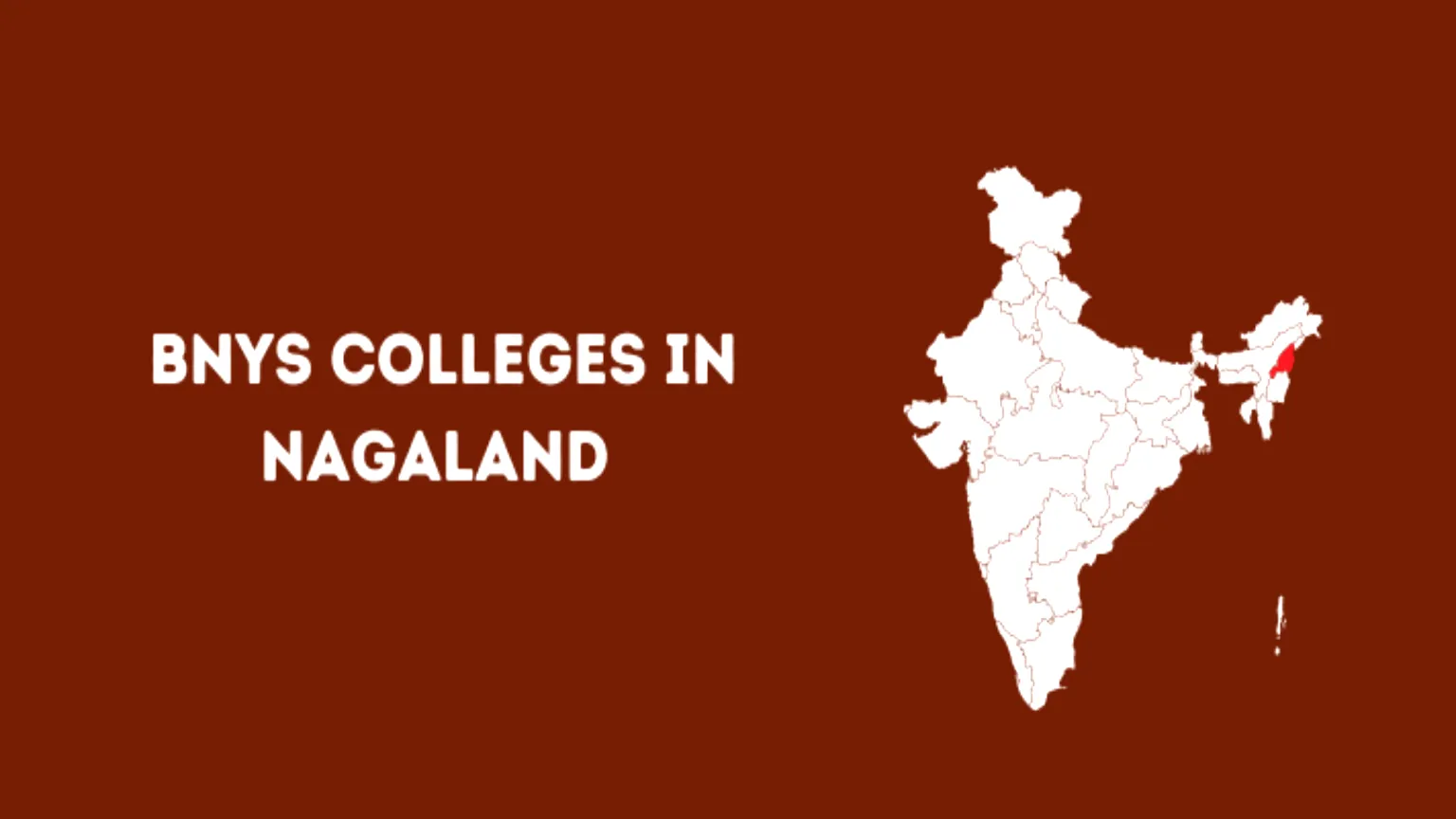 List of BNYS Colleges in Nagaland