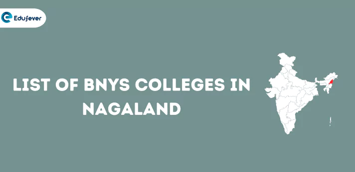 List of BNYS Colleges in Nagaland