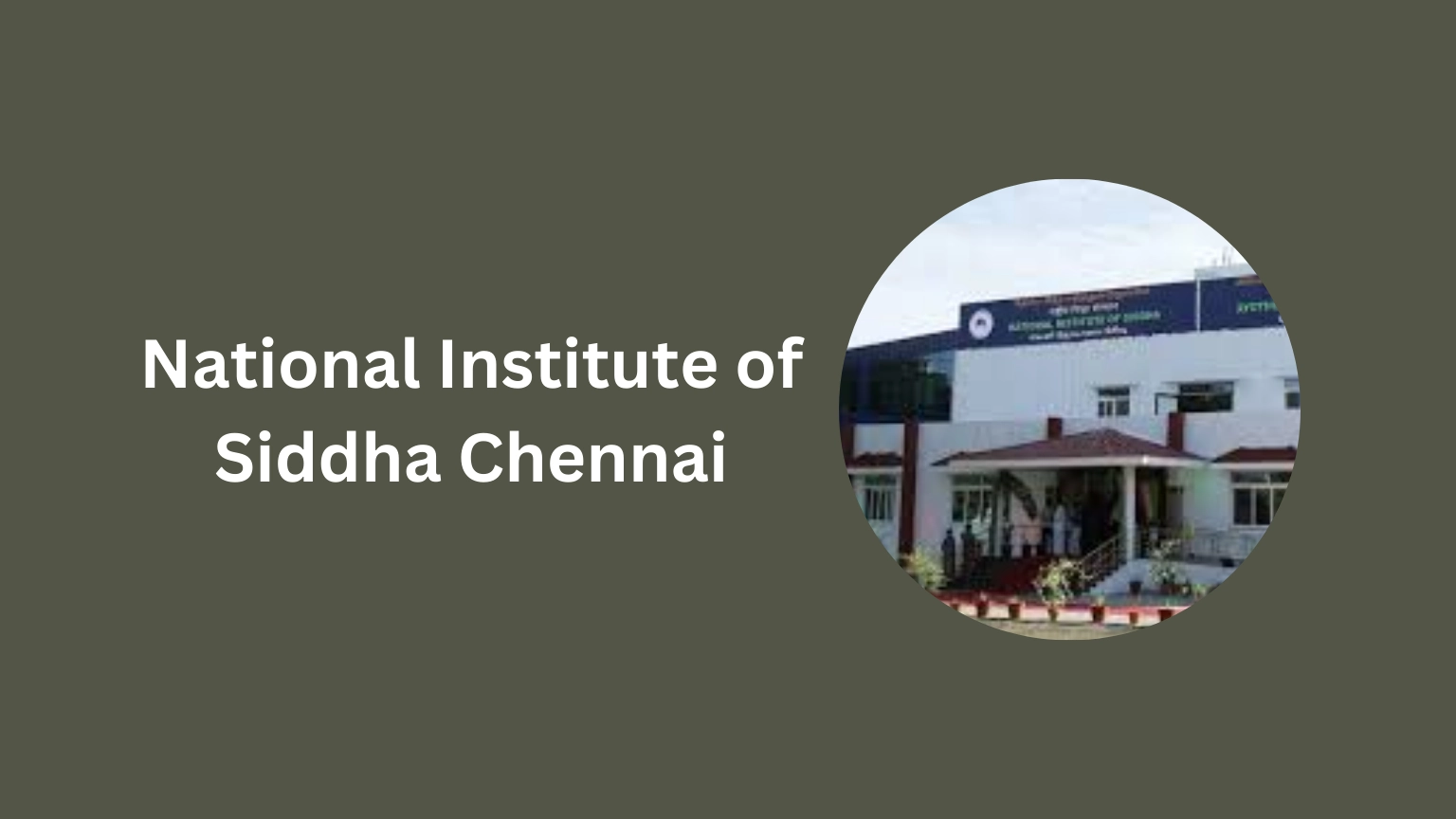 National Institute of Siddha Chennai