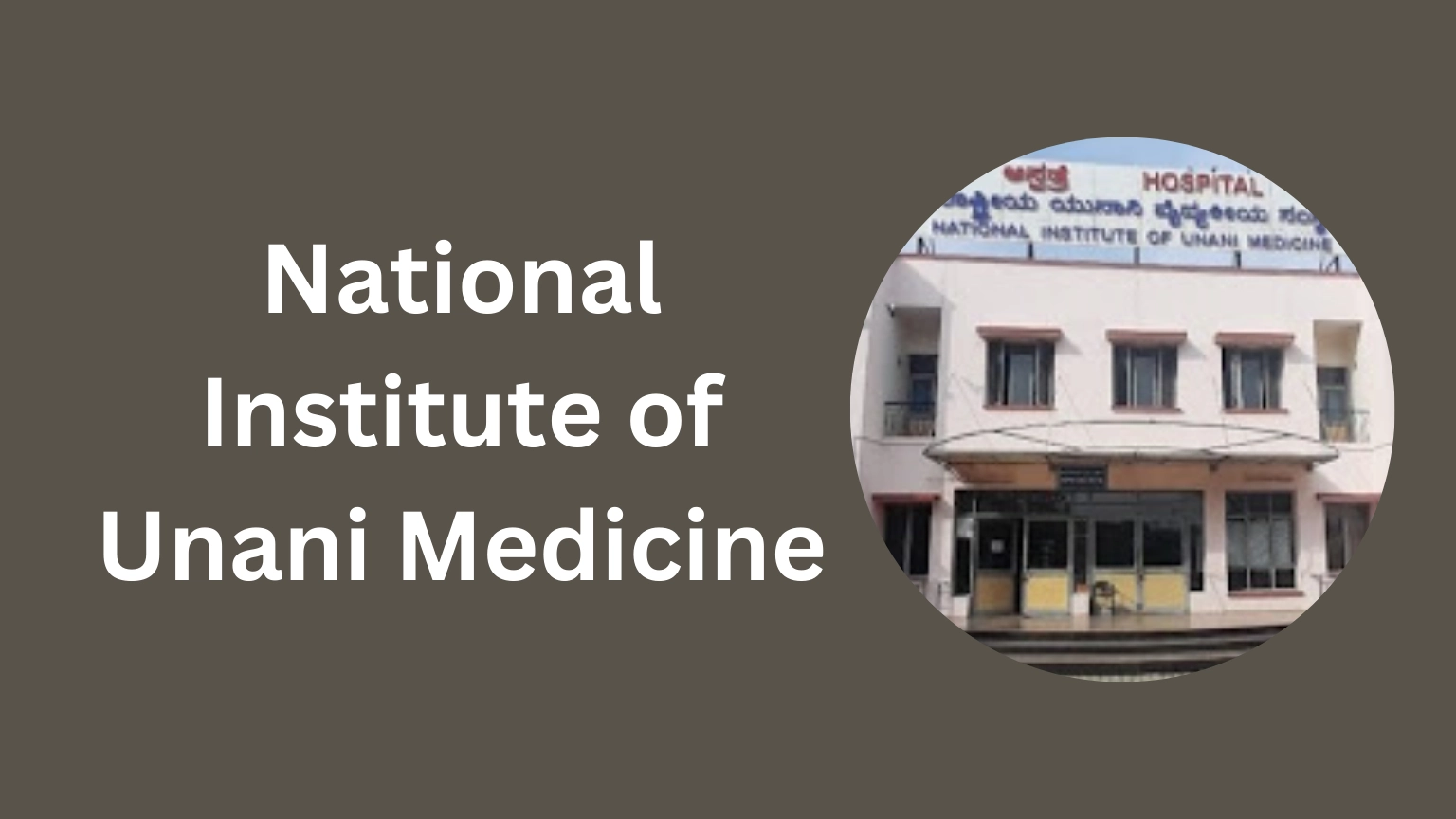 National Institute of Unani Medicine