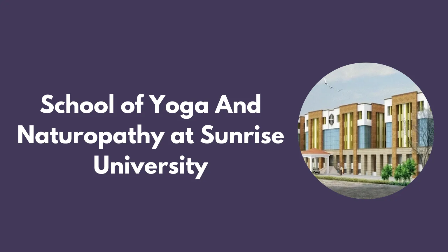 School of Yoga And Naturopathy at Sunrise University