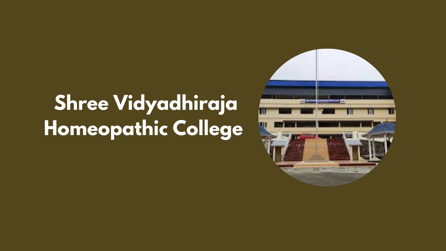 Shree Vidyadhiraja Homeopathic College