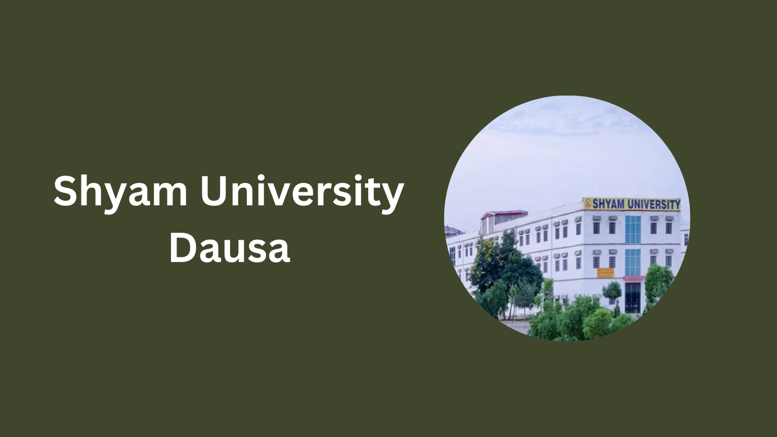 Shyam University Dausa