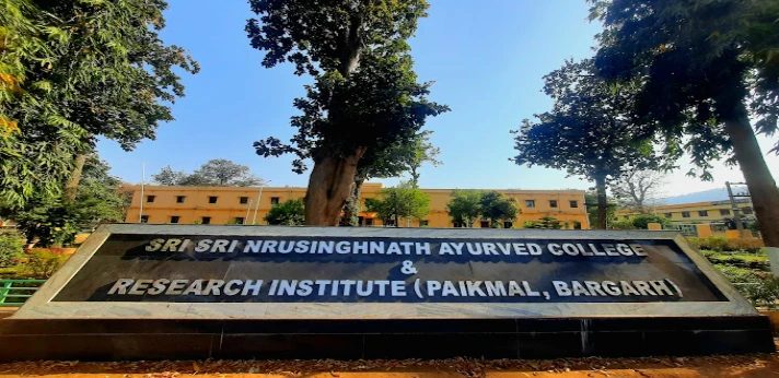 Sri Nrusinghanath Bargarh College