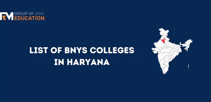 list of bnys Colleges in Haryana