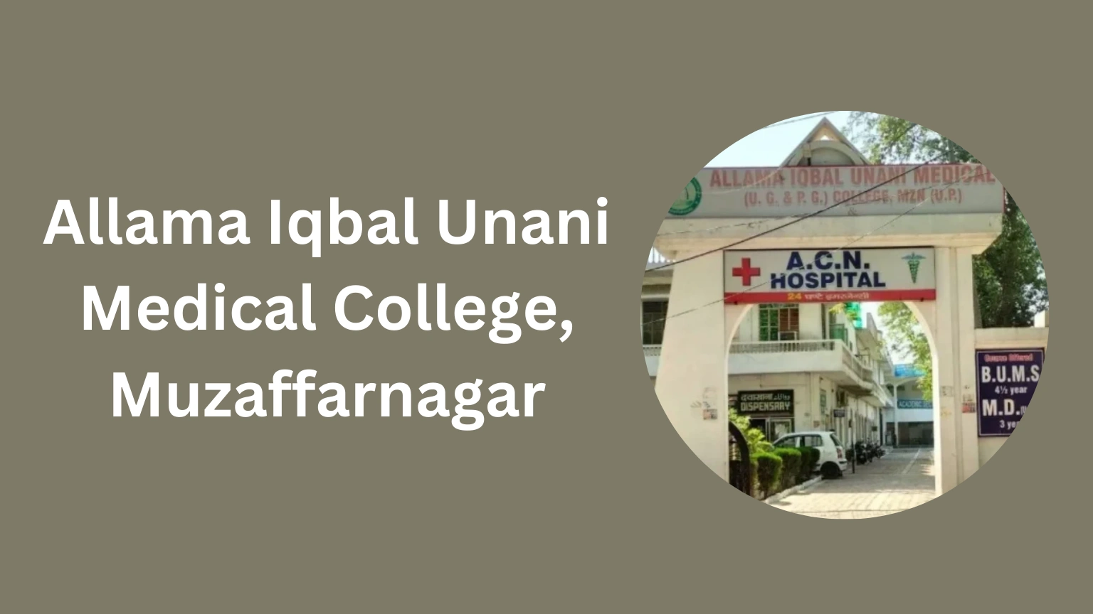 Allama Iqbal Unani Medical College