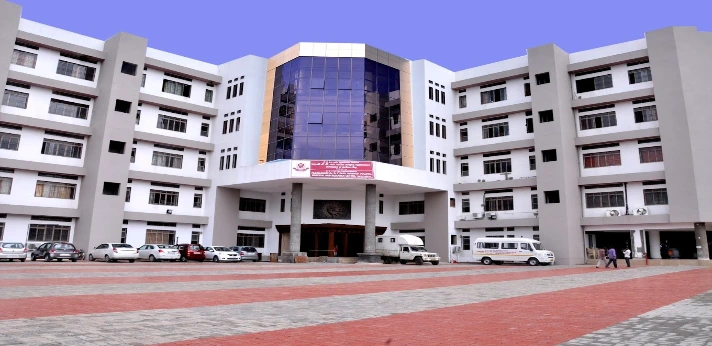 D.Y. Patil College of Ayurved Pune 2024 25 Admission Course