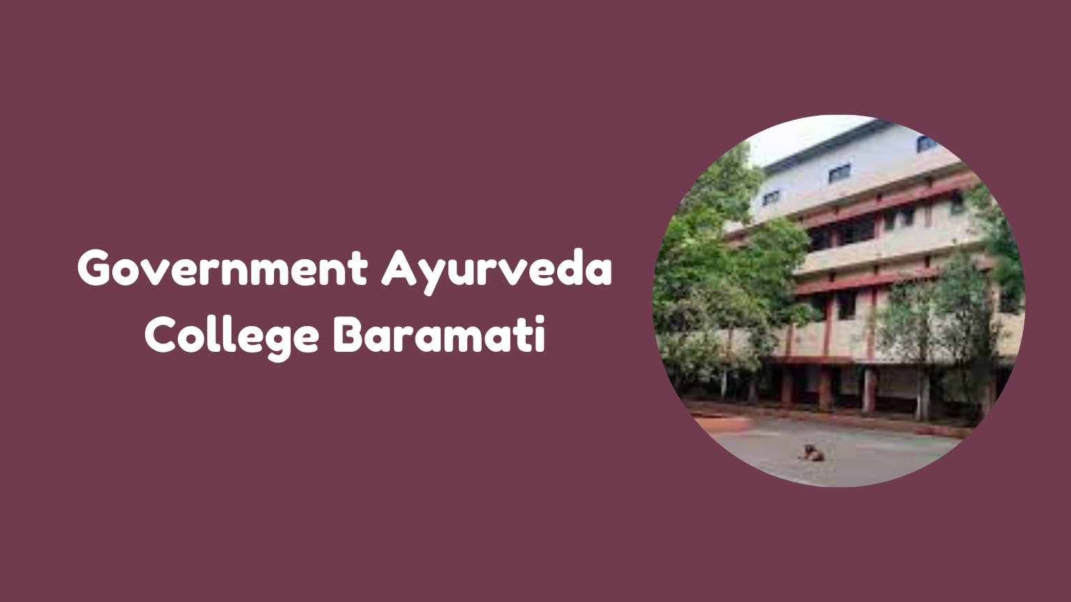 Government Ayurveda College Baramati