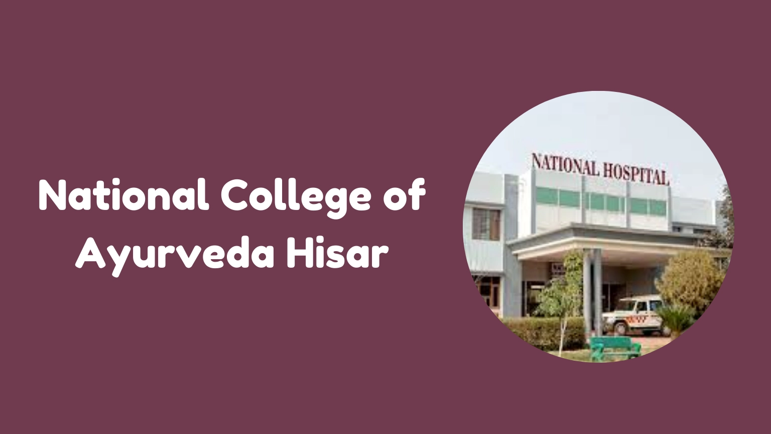 National College of Ayurveda Hisar